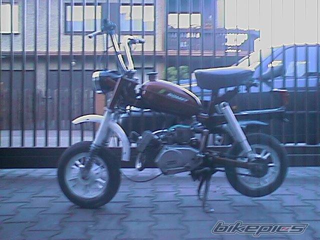 Photo 203883