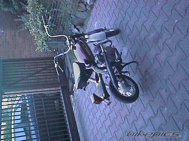 Photo 203886