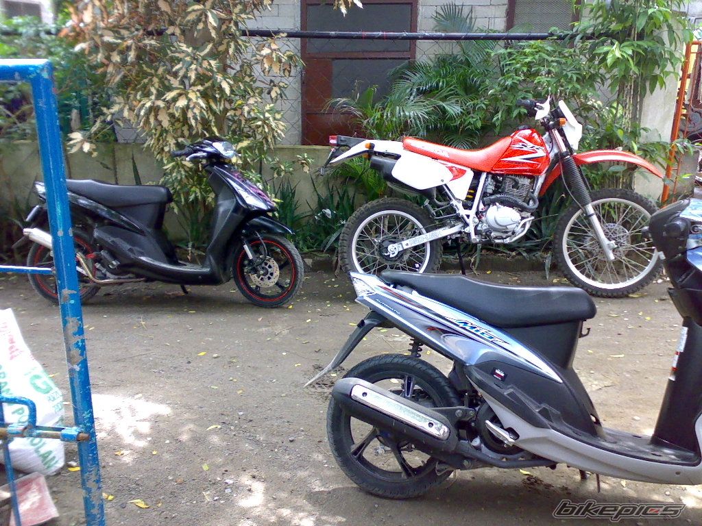 Photo 2038995