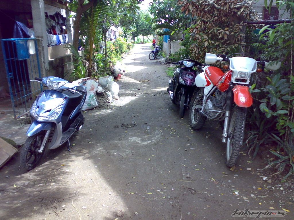 Photo 2039002