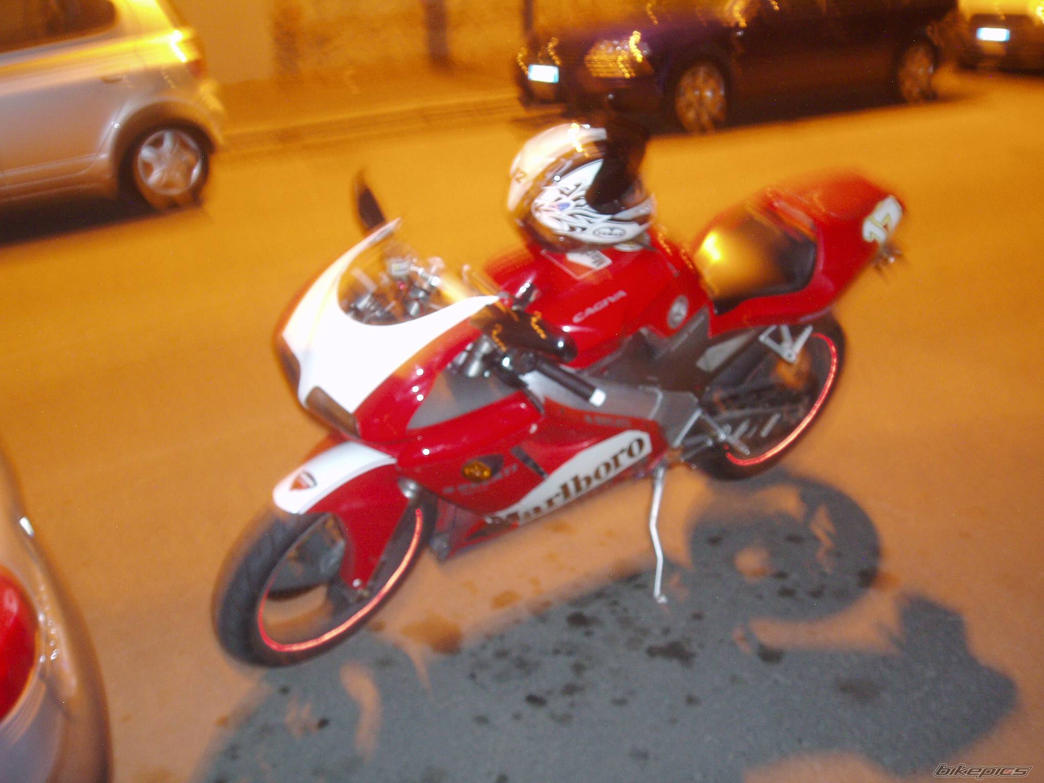 Photo 203904