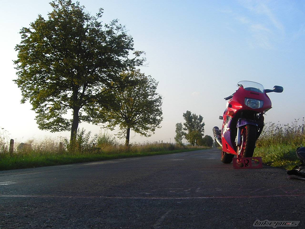 Bike Photo 203918