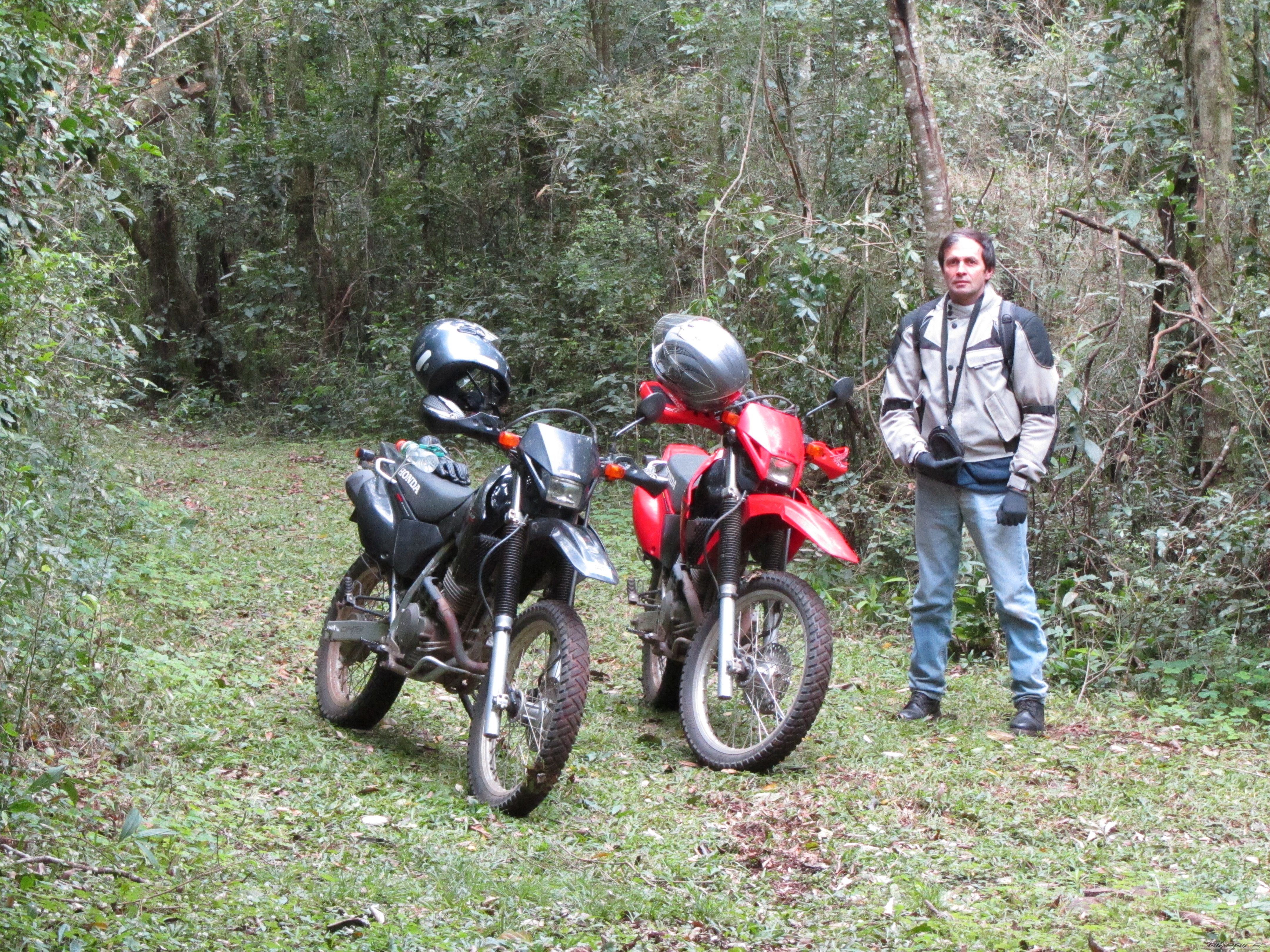 Photo 2039229