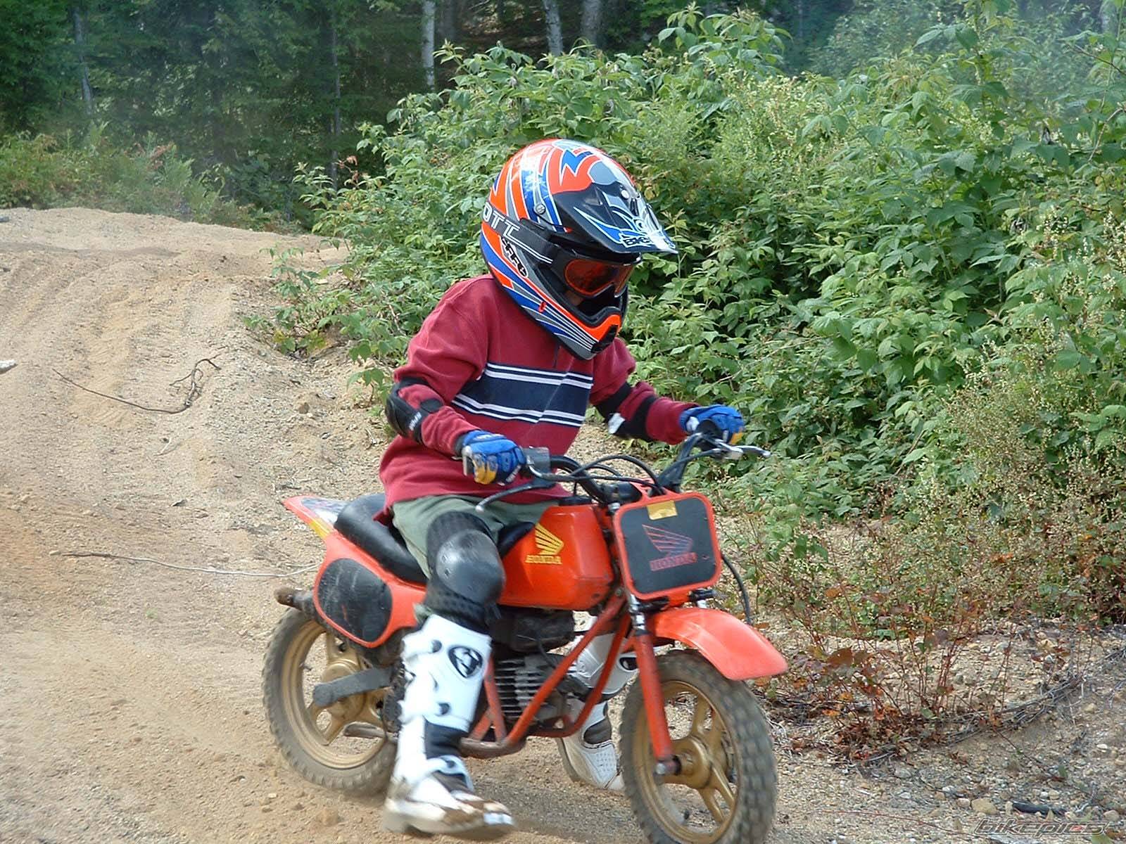 Bike Photo 203923