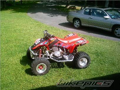 Photo 203929