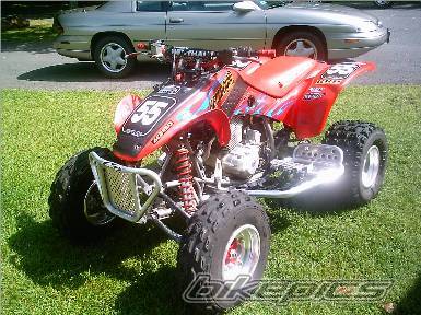Photo 203930