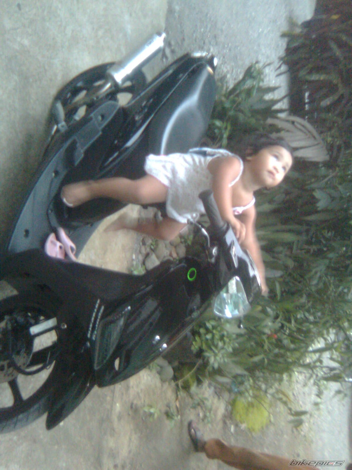Photo 2039301