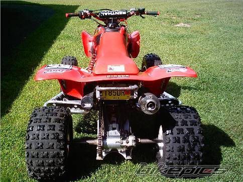 Photo 203931