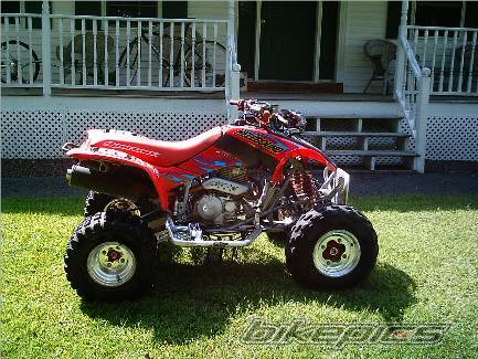Photo 203932