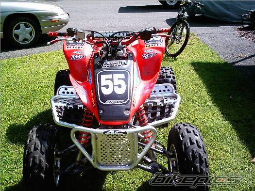 Photo 203934