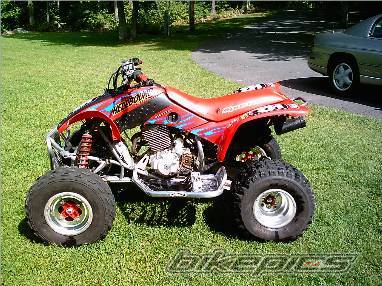 Photo 203936