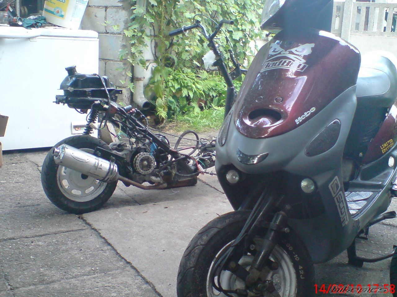 Photo 2039369