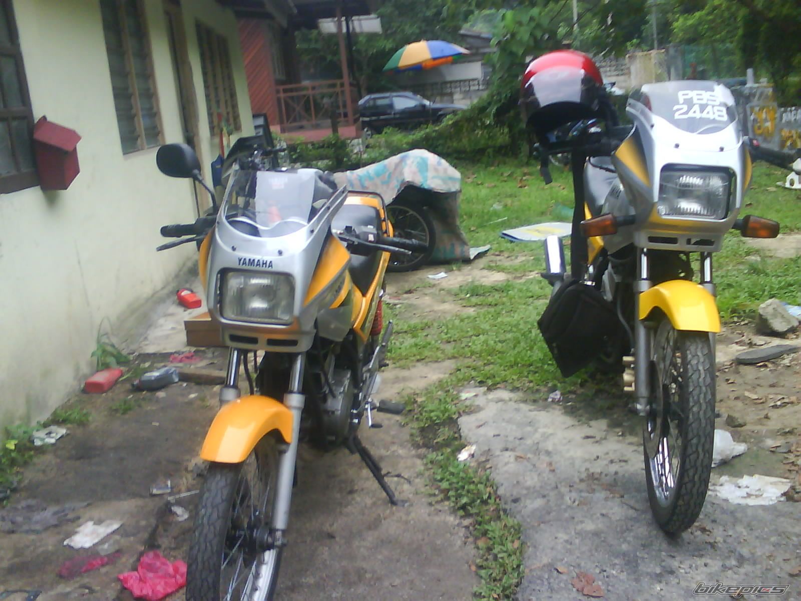 Photo 2039390