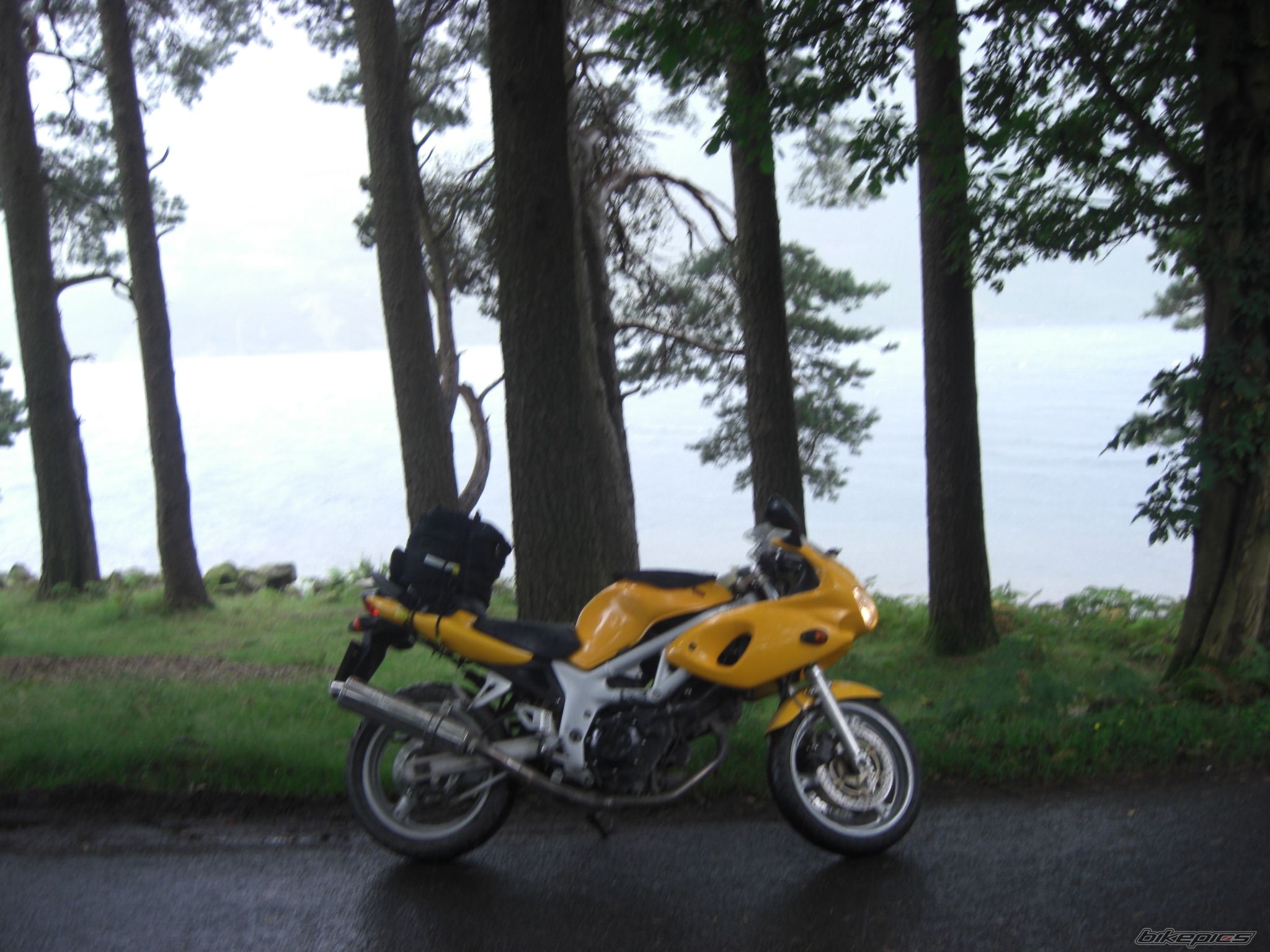 Photo 2039682