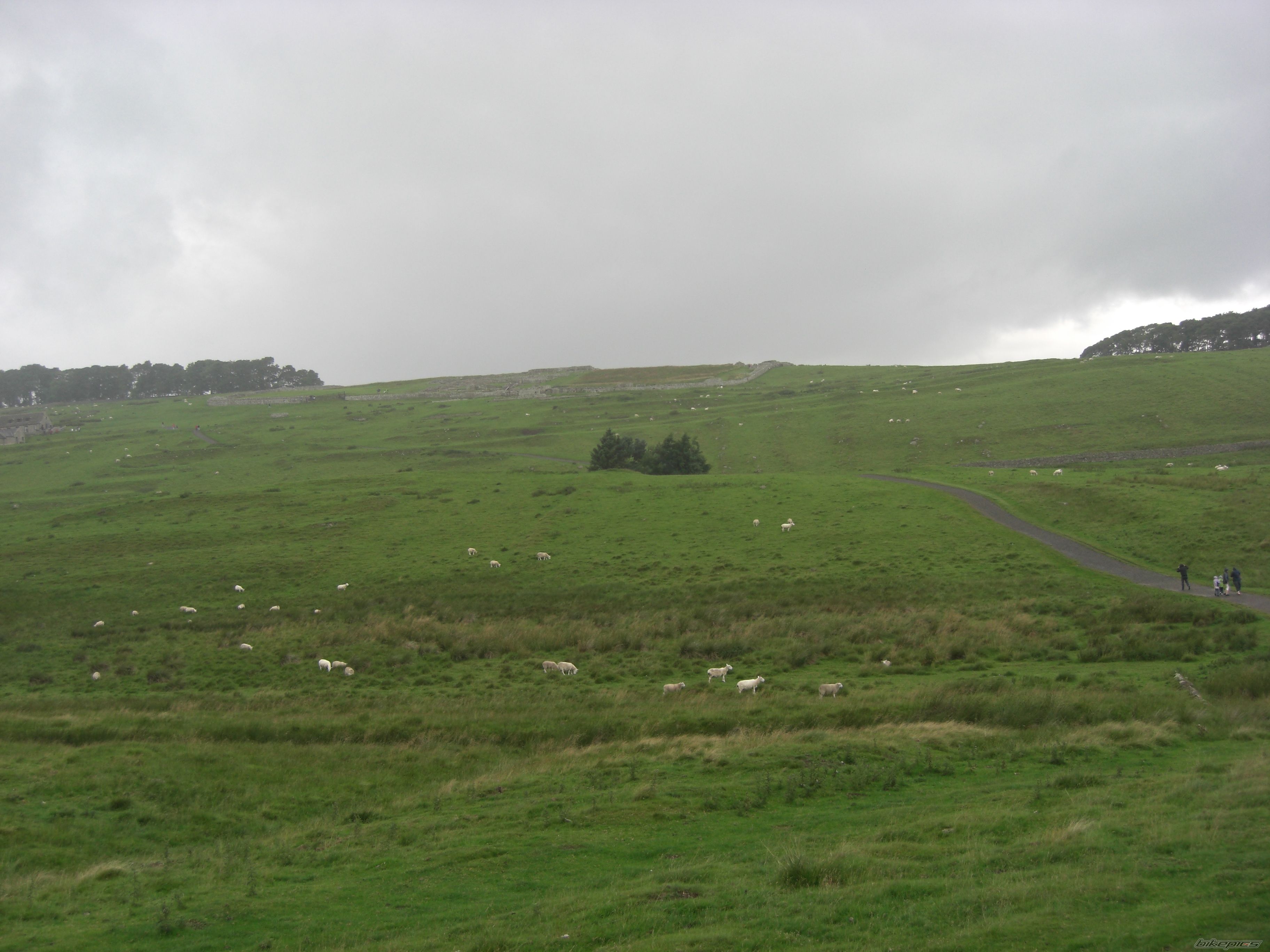 Photo 2039711