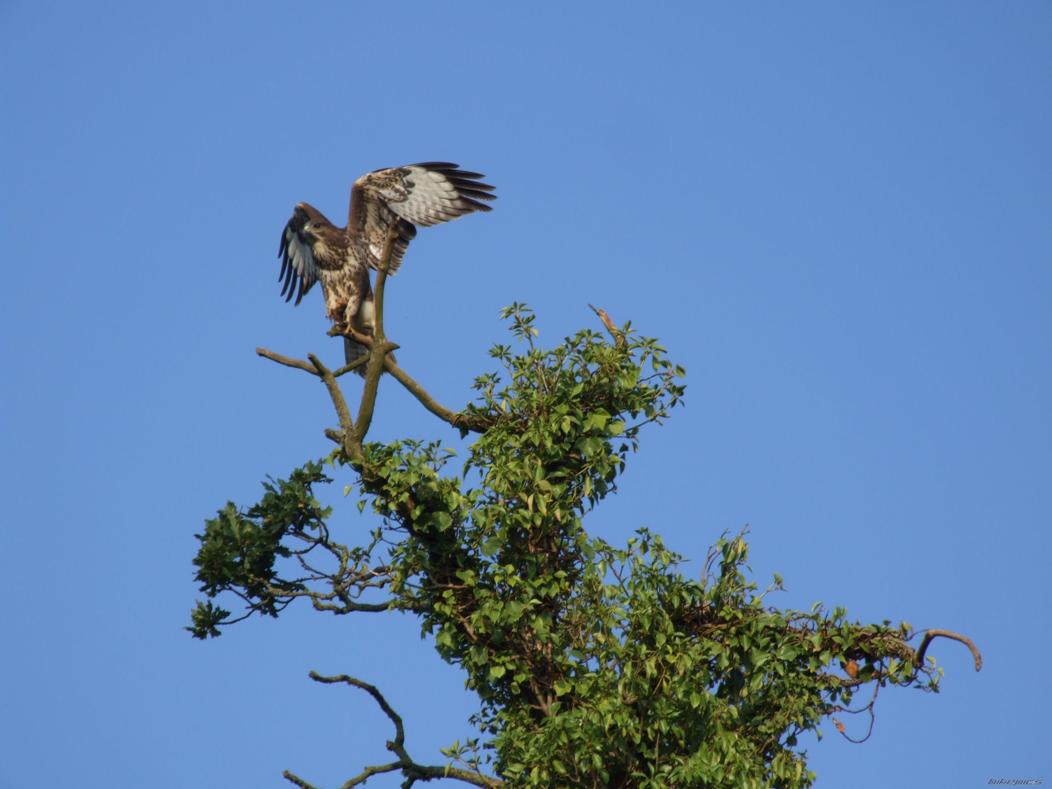 Photo 2039742