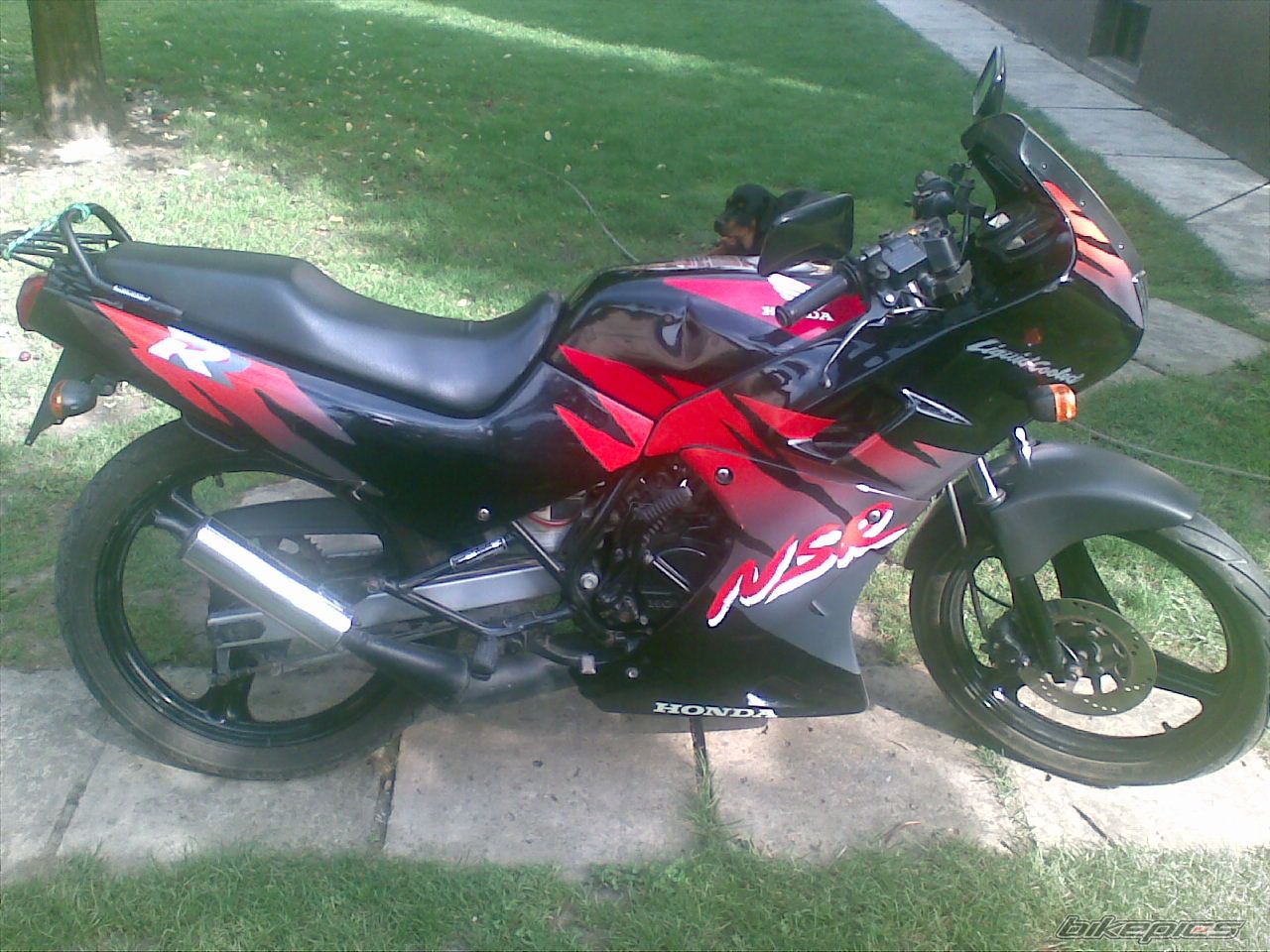 Photo 2039905