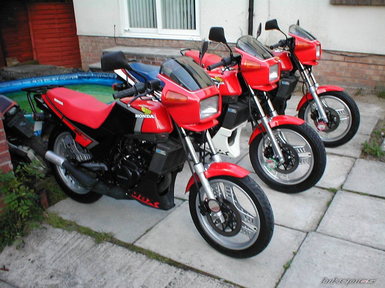 Photo 203991