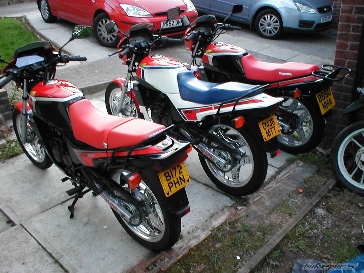 Photo 203992