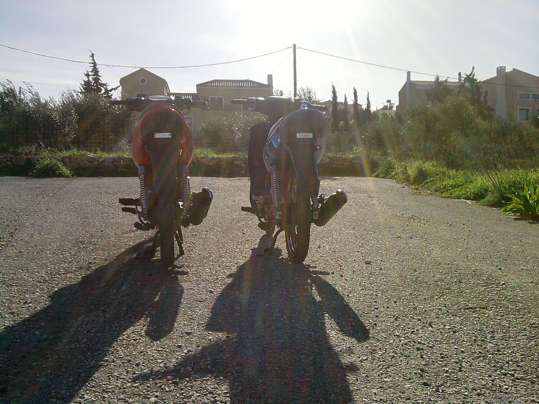 Photo 2039944