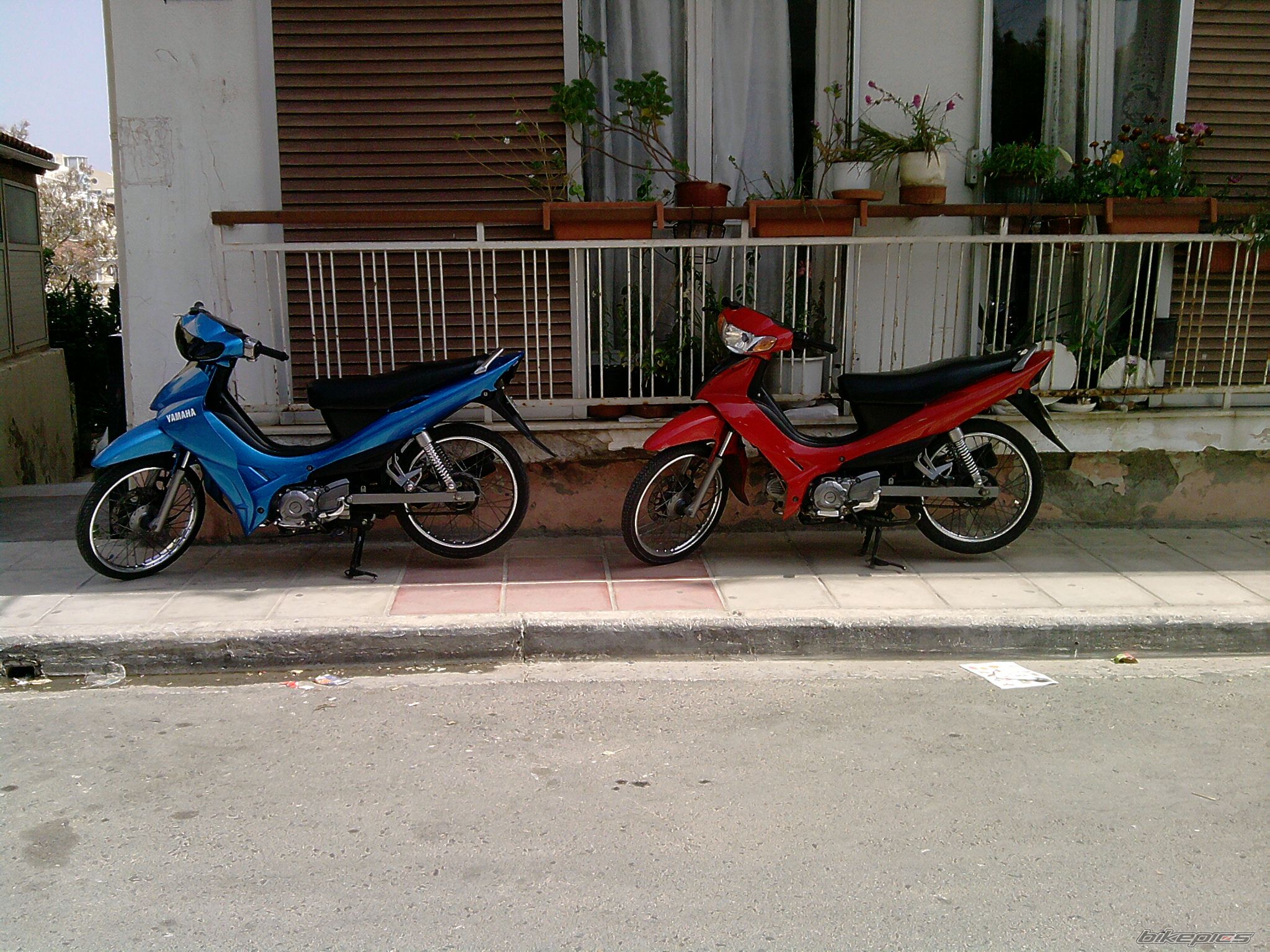 Photo 2039946