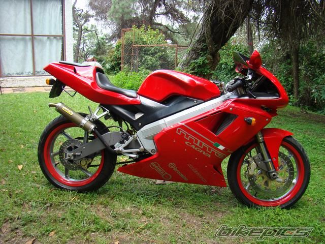 Photo 2039993