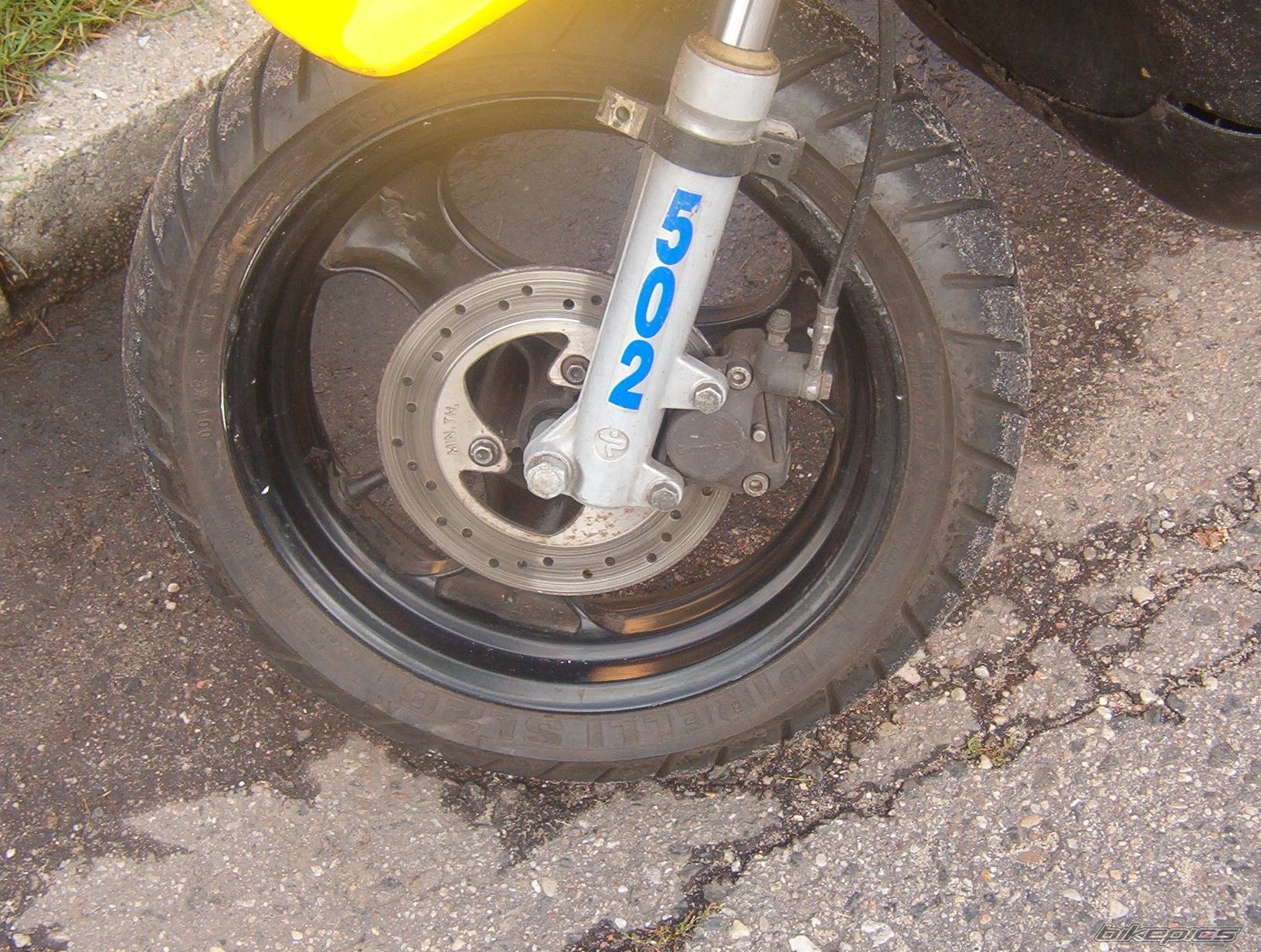 Photo 204004