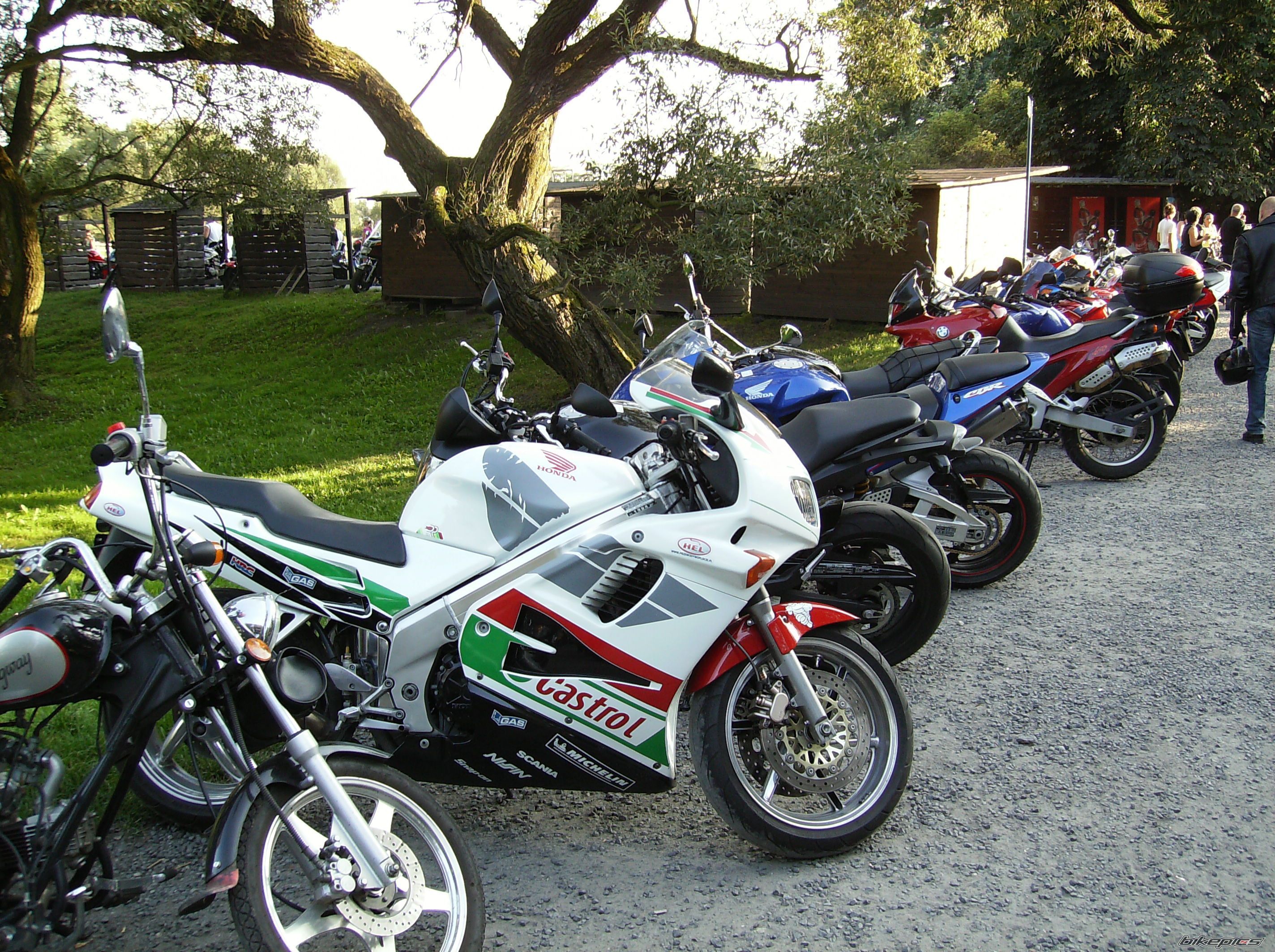 Photo 2040040