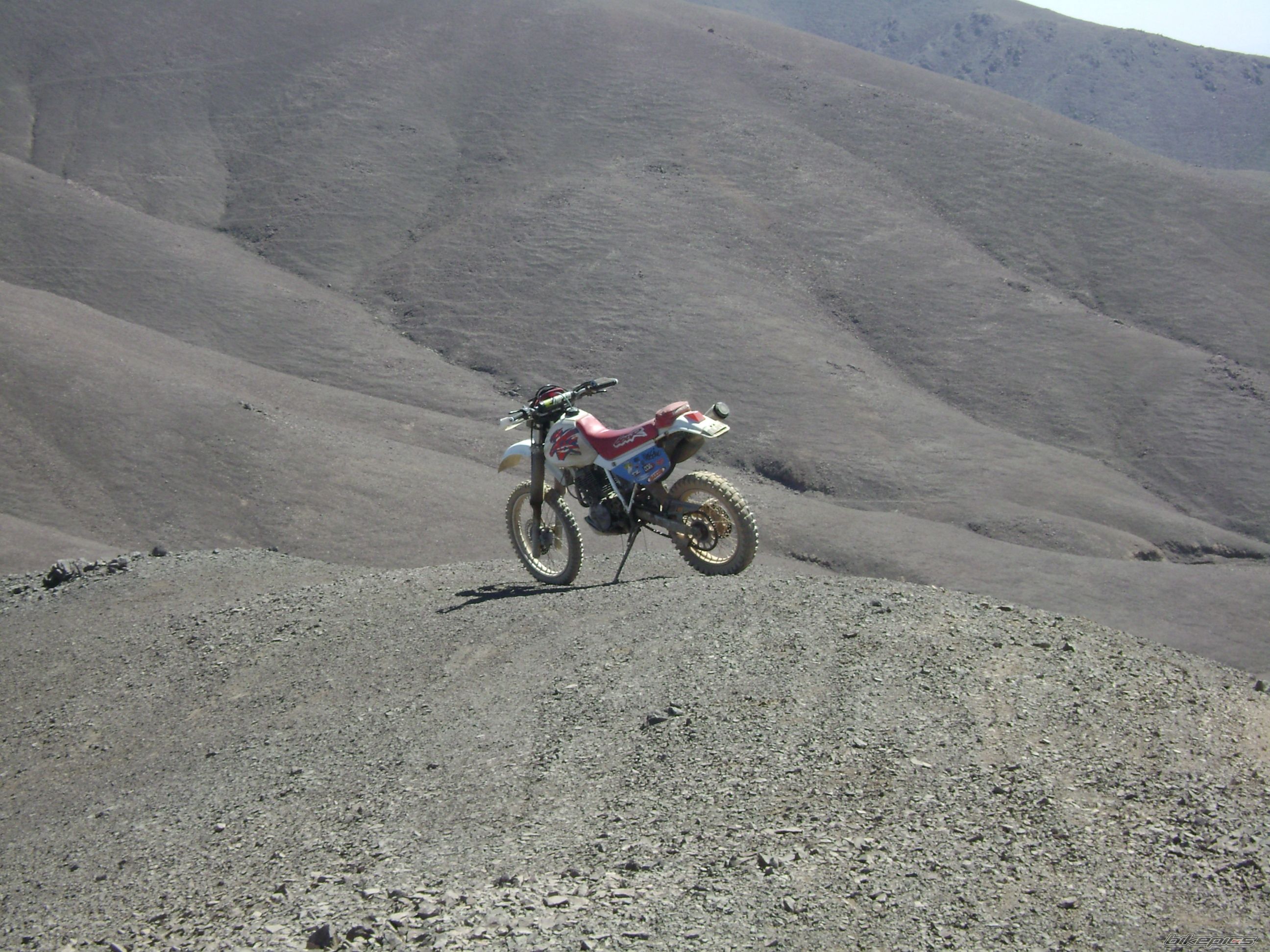 Photo 2040290