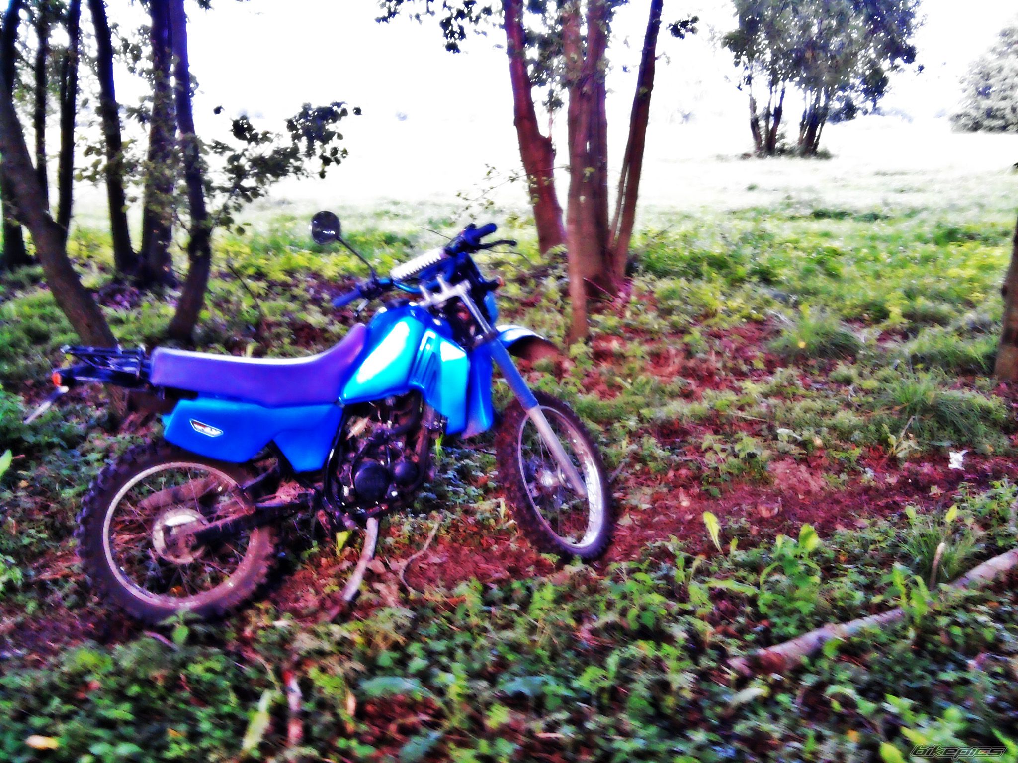 Photo 2040405