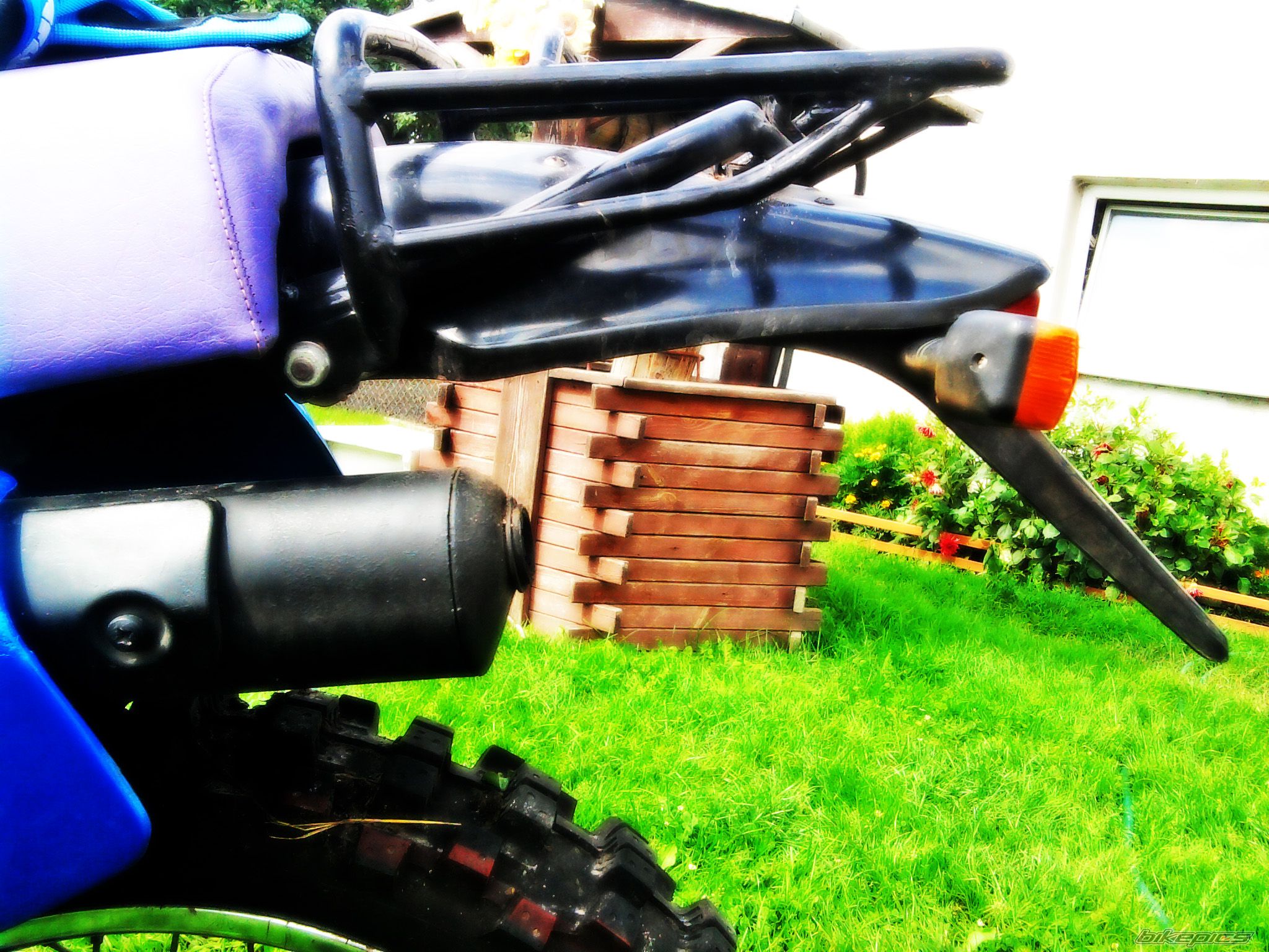Photo 2040408