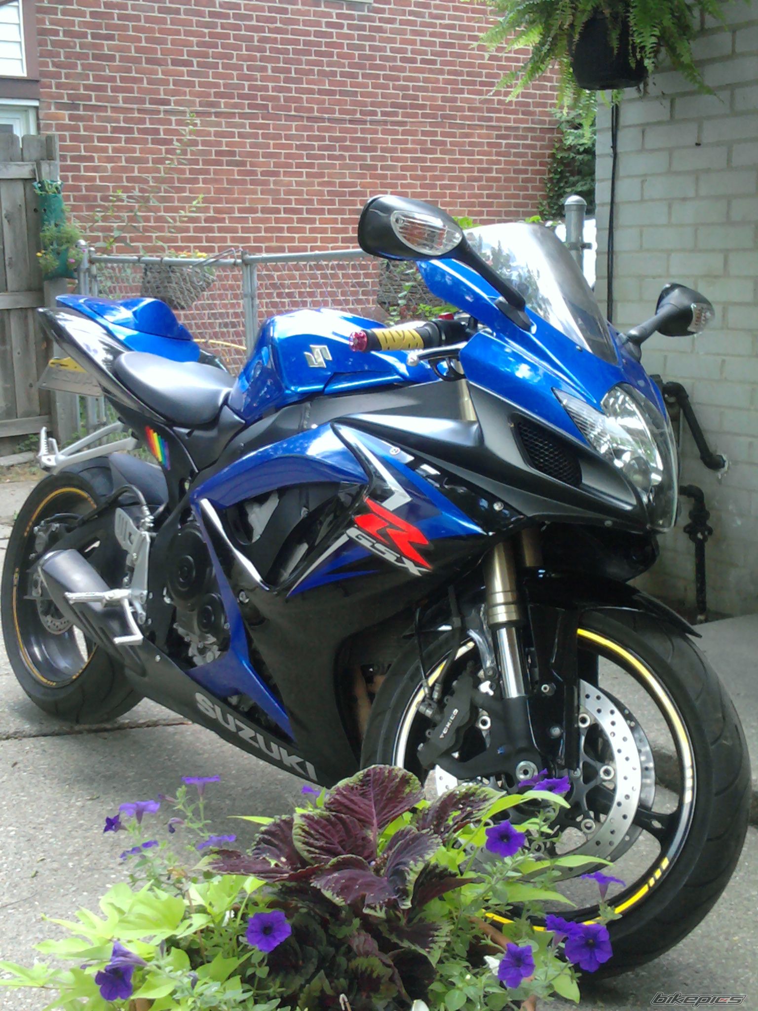Photo 2040773