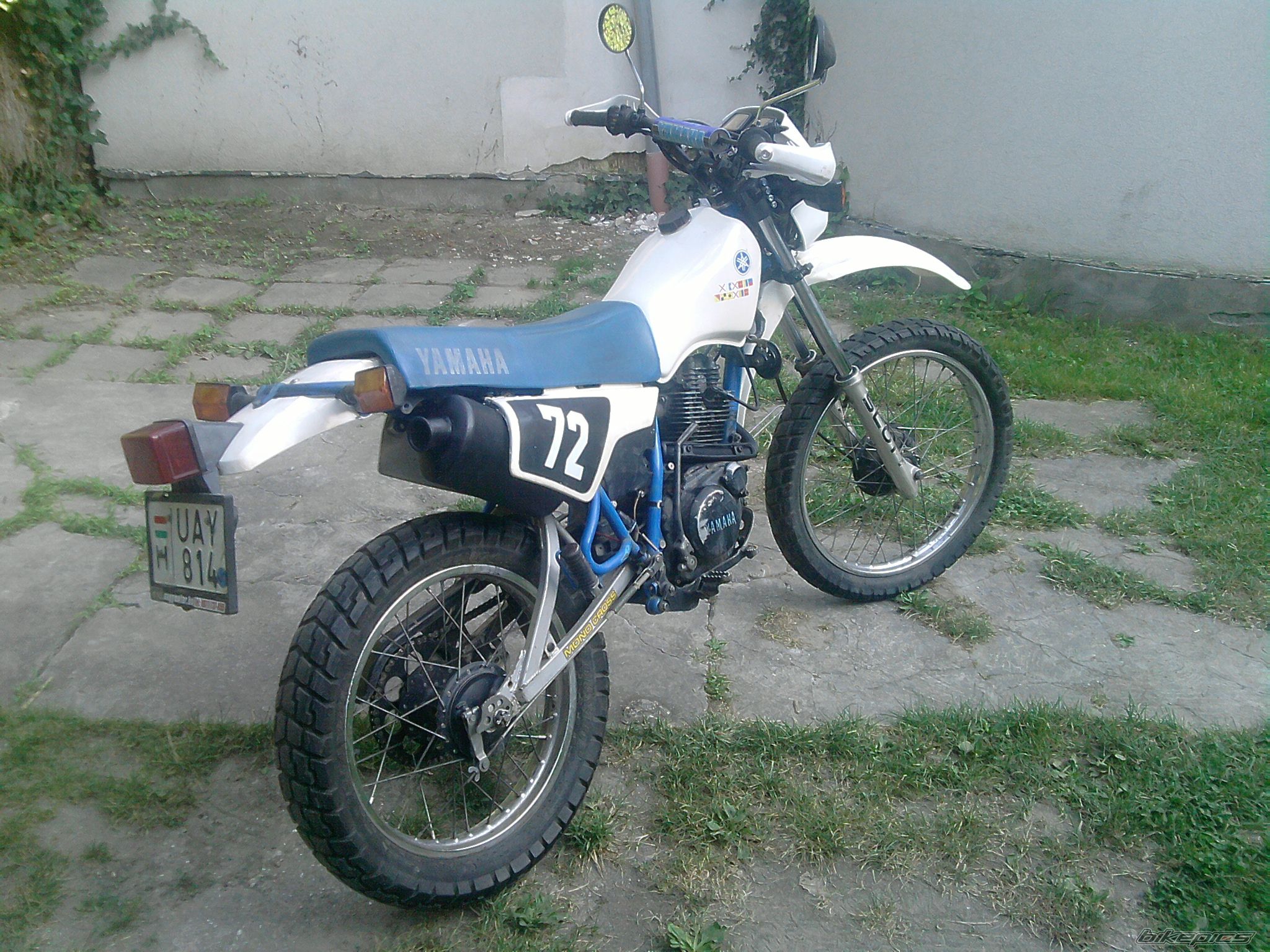 Photo 2040858