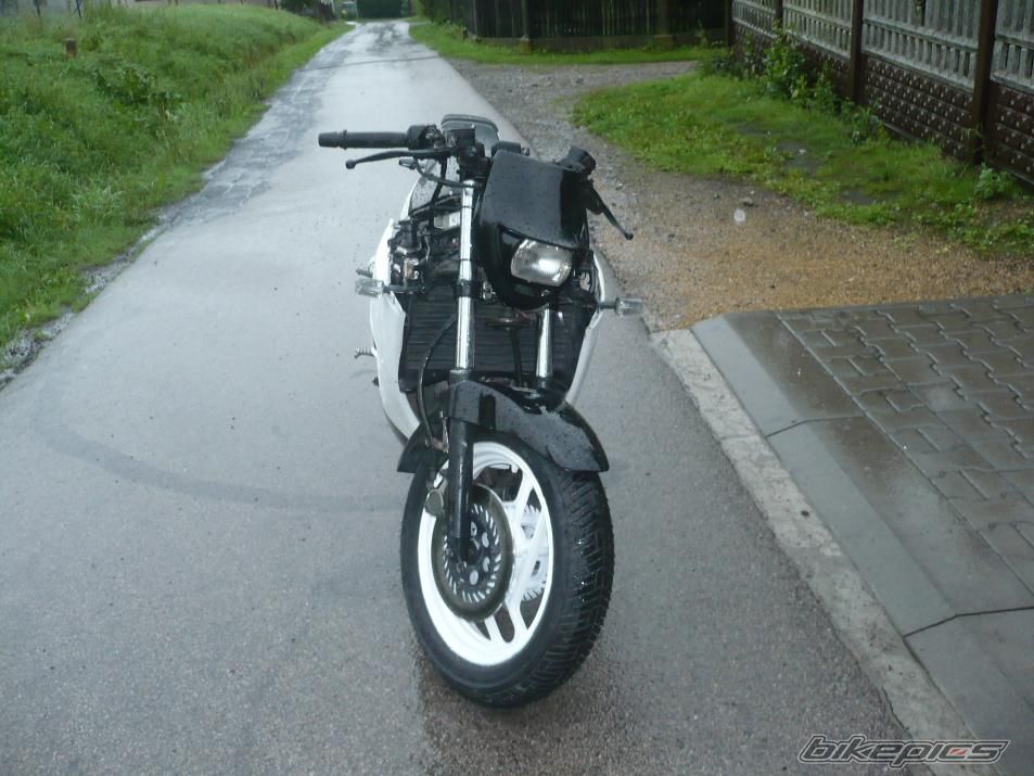 Photo 2040879