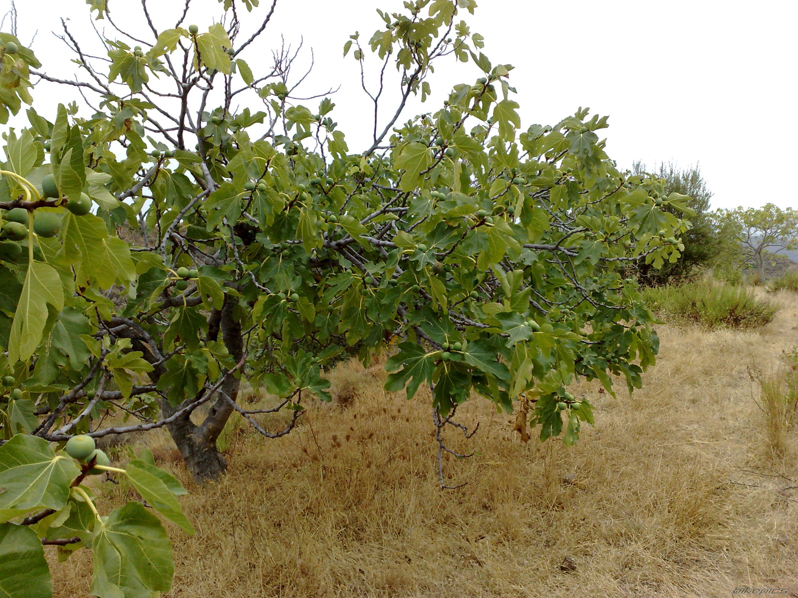 Photo 2040900