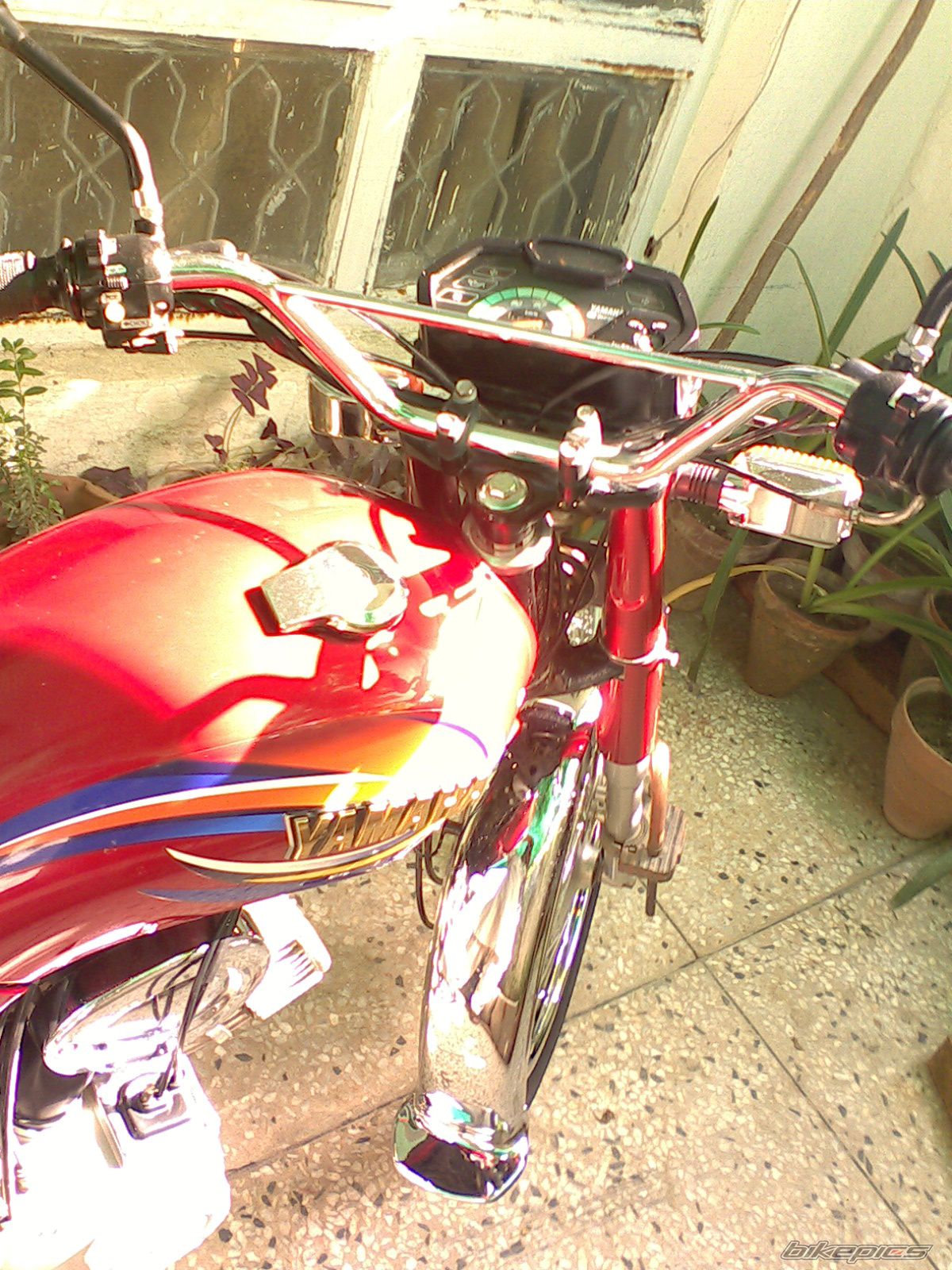 Photo 2040907