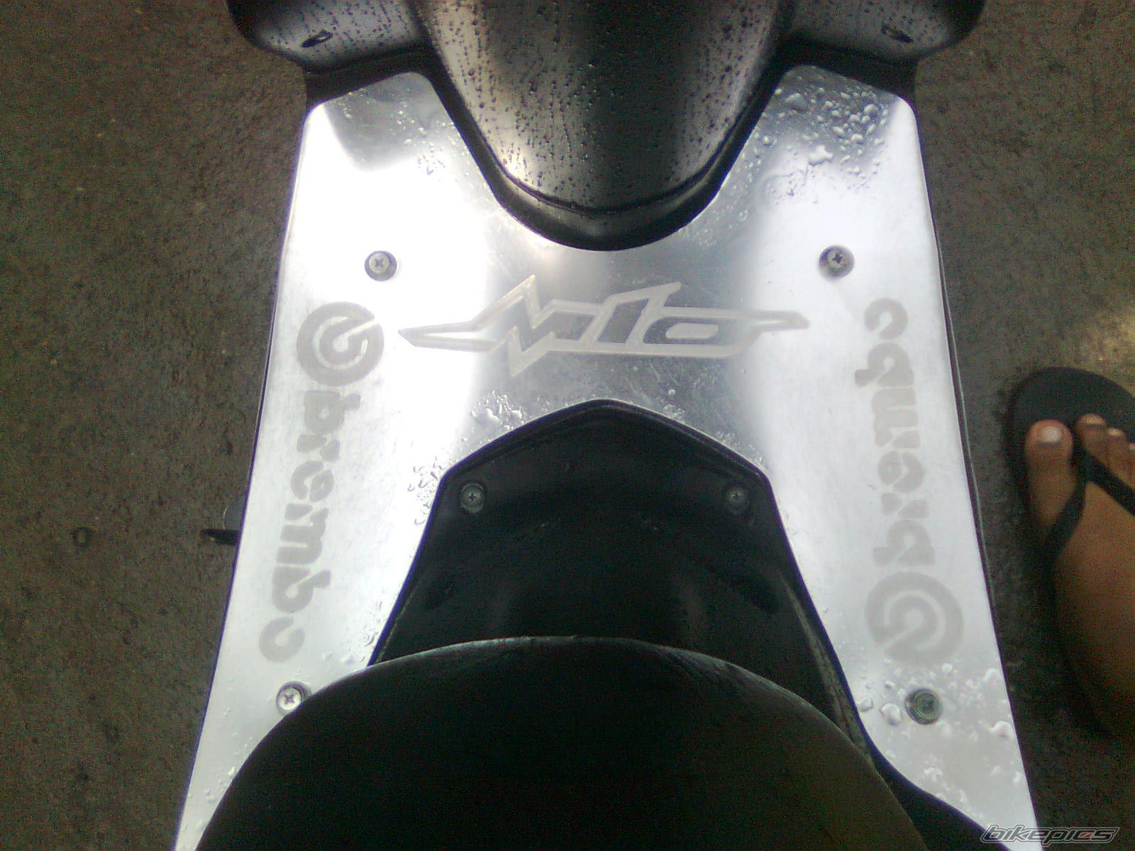 Photo 2041119