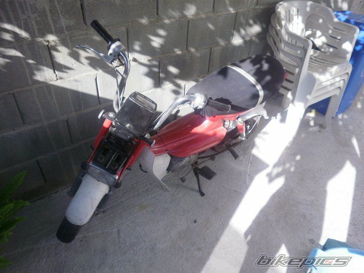 Photo 2041135