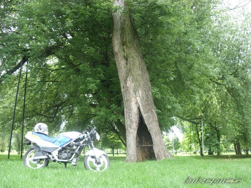 Bike Photo 2041216