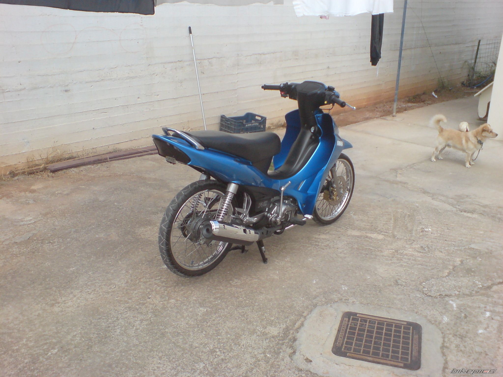 Photo 2041291