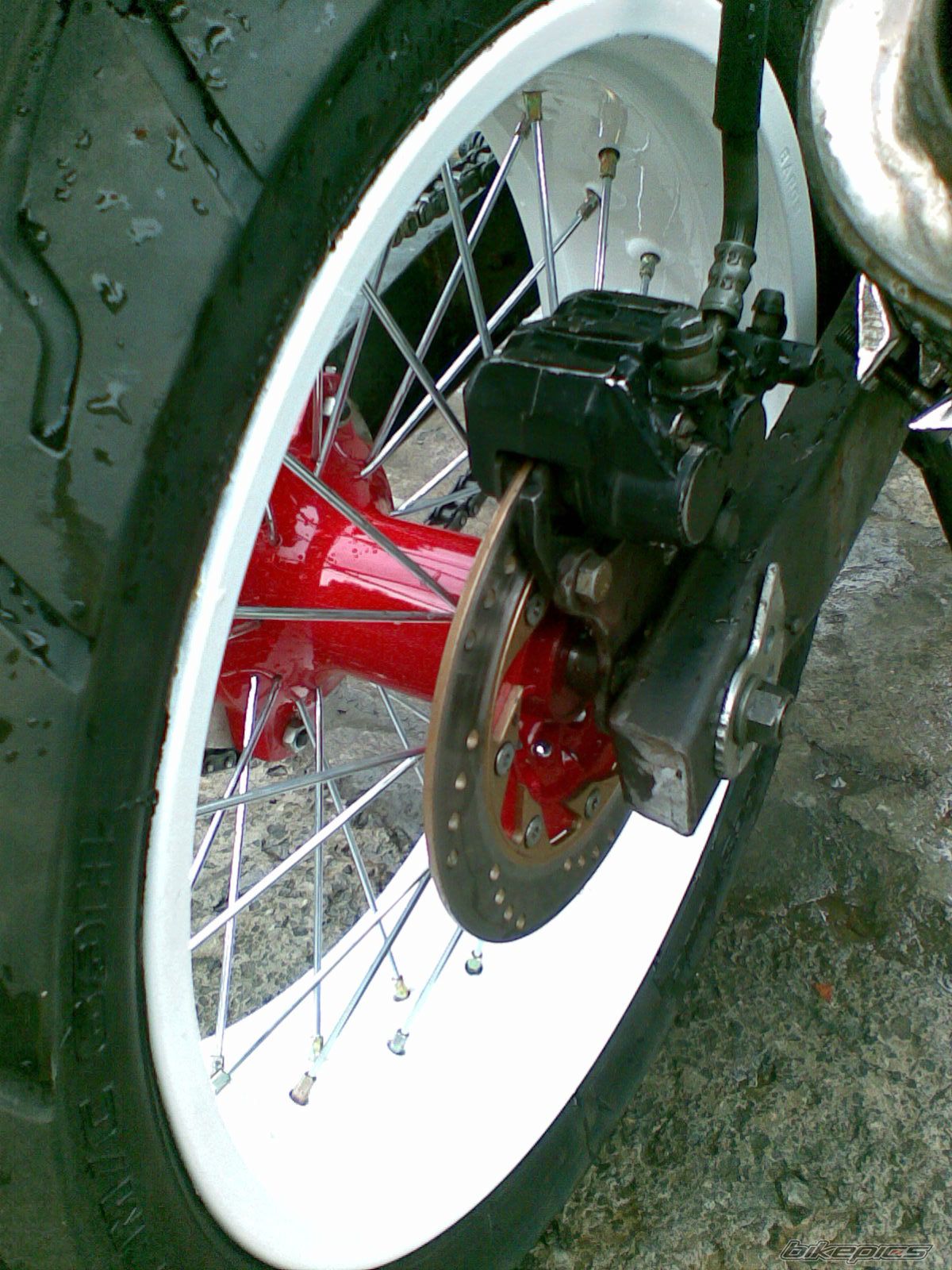 Photo 2041294
