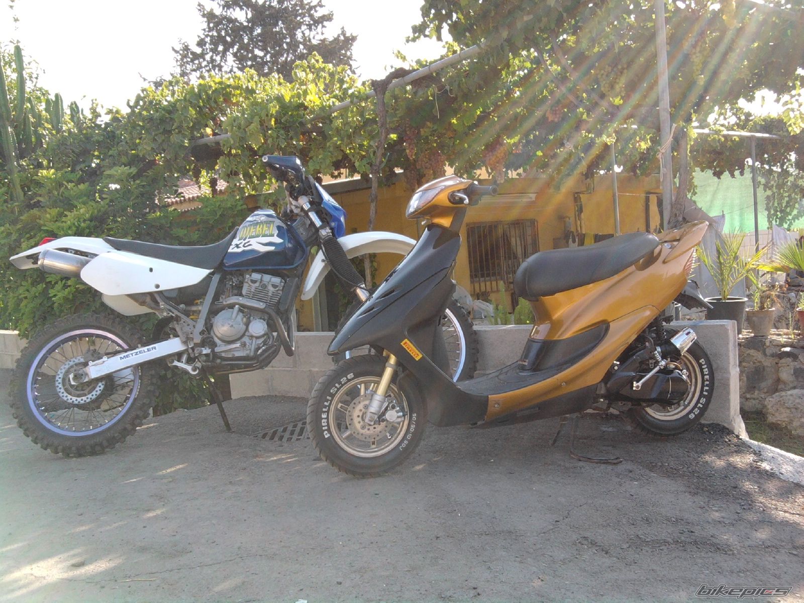 Photo 2041371