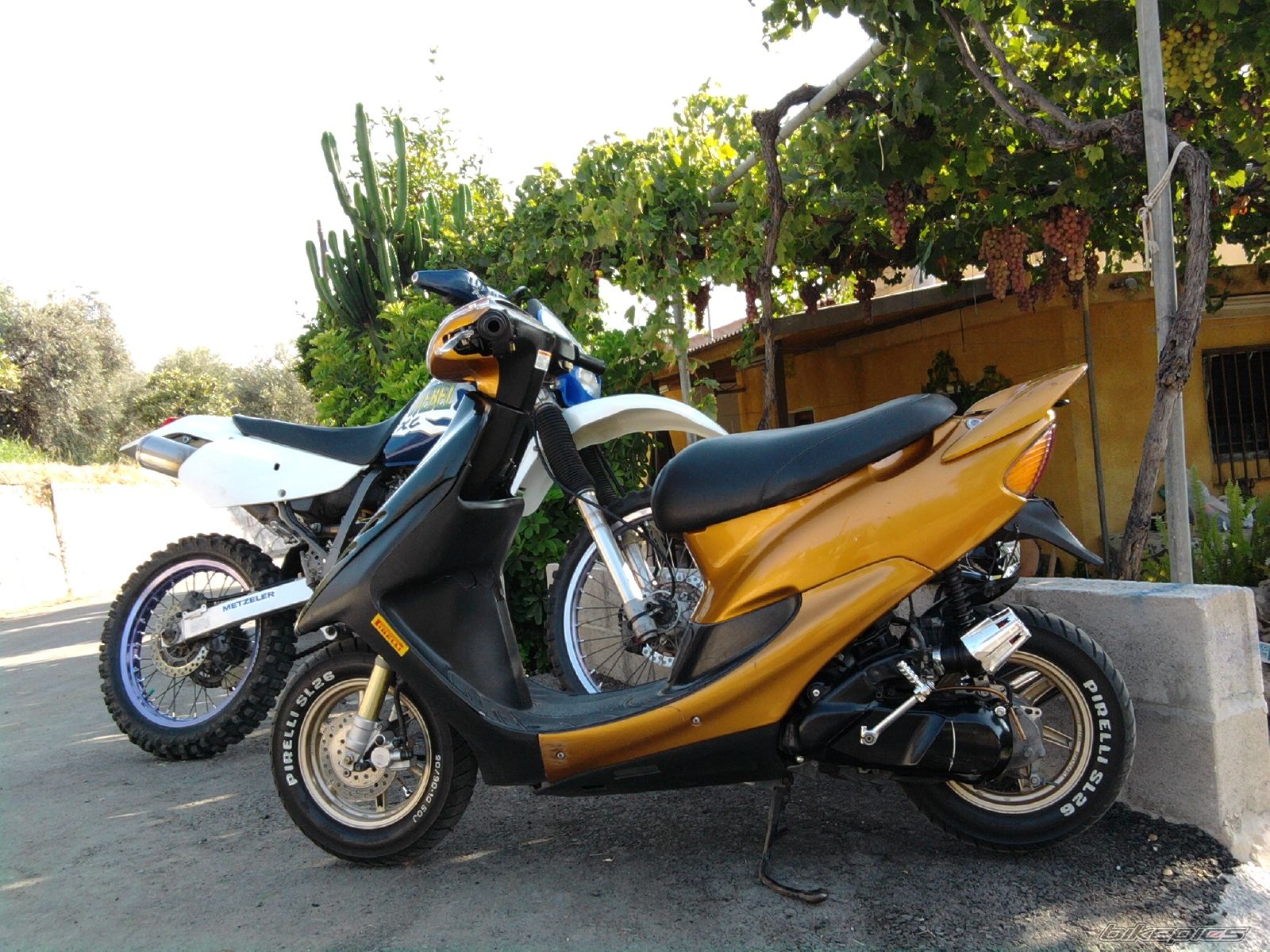 Photo 2041375