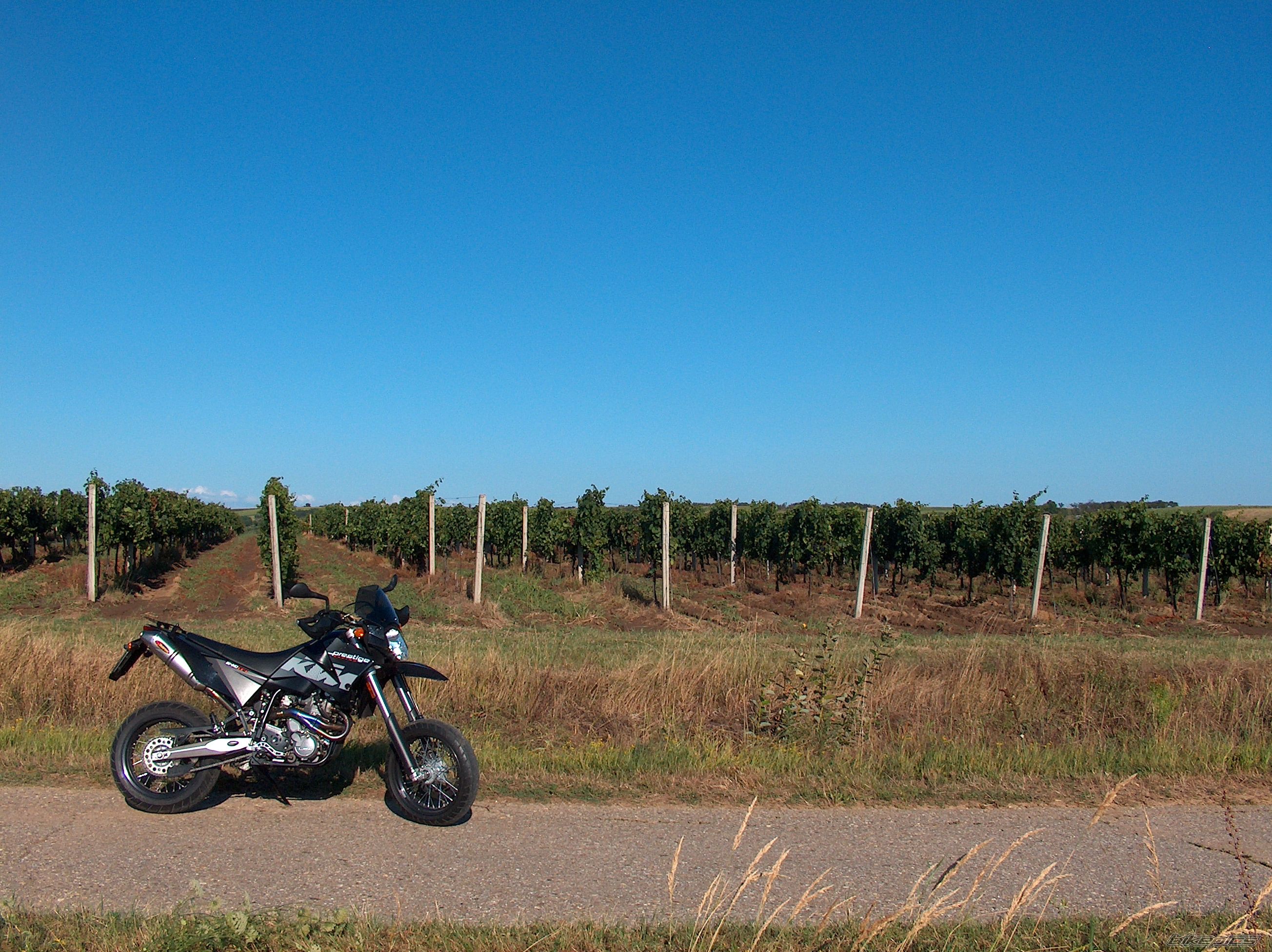 Bike Photo 2041432