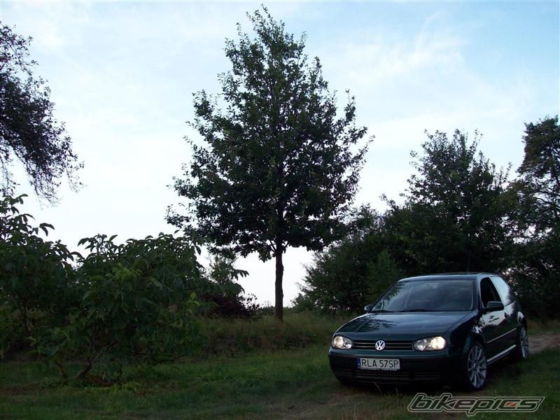 Photo 2041588