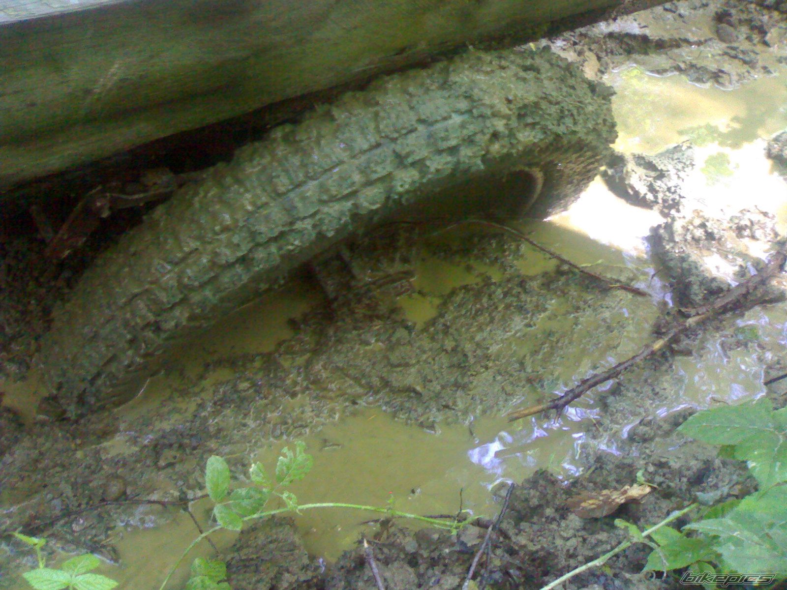 Photo 2041663