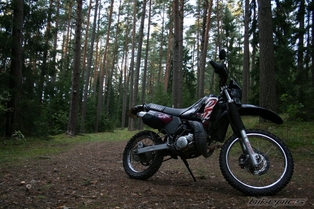 Photo 2041705