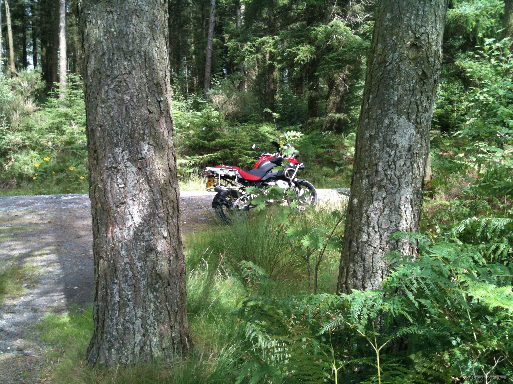 Photo 2041756