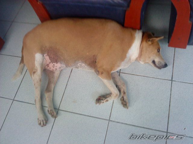 Photo 2041947