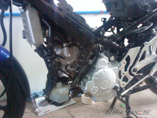 Photo 2041951